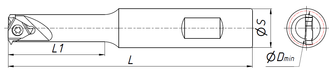 Корпус концевой резьбофрезы с пластинами HSMT12-12F11 (SMT12-12F11)