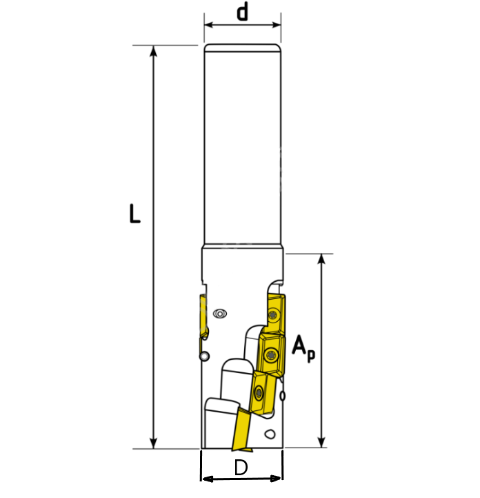 Кукуруза MT5-63-110